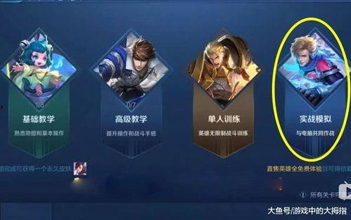 王者荣耀最新爆料29号,神秘英雄登场，战局风云再起！